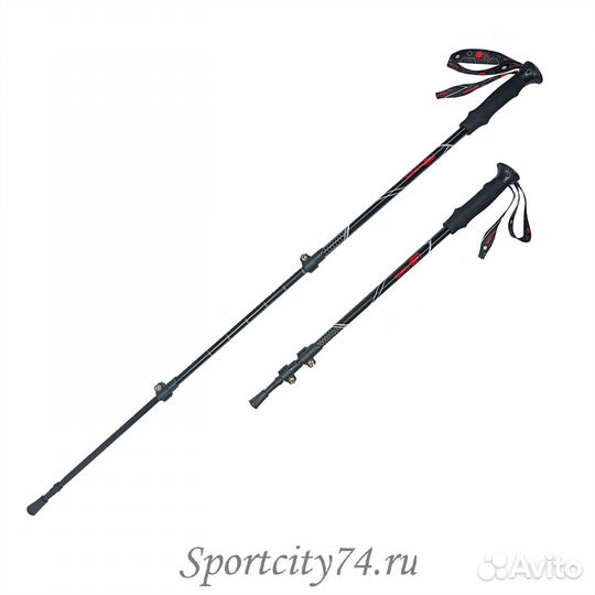 Палки треккинговые RGX TFG-105