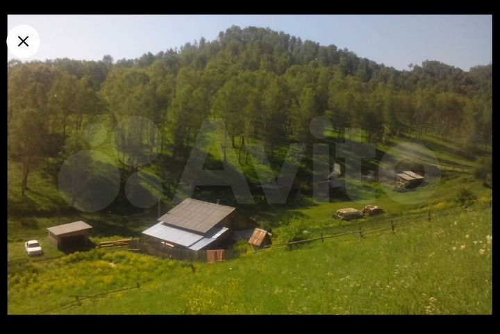 Дом 50 м² на участке 20 сот.