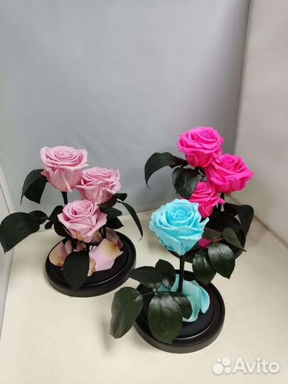 Розы оптом