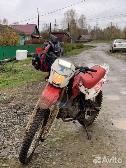 Ирбис TTR 250