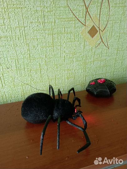 Игрушка- паук на радиоуправлении