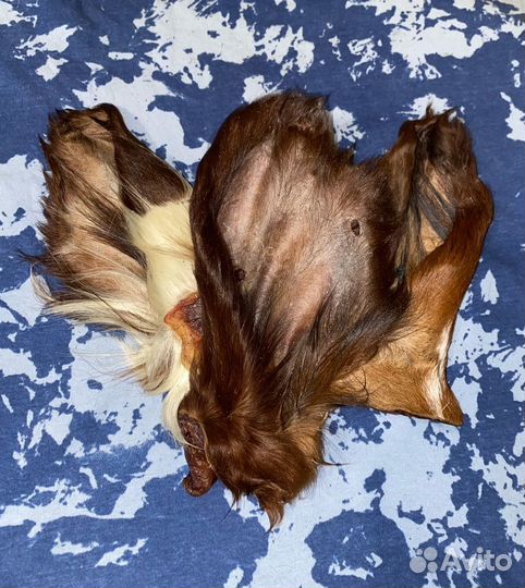 Натуральные лакомства для собак