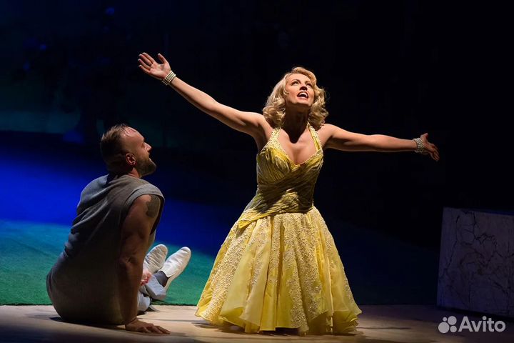 Билеты в театр Луны 1/3