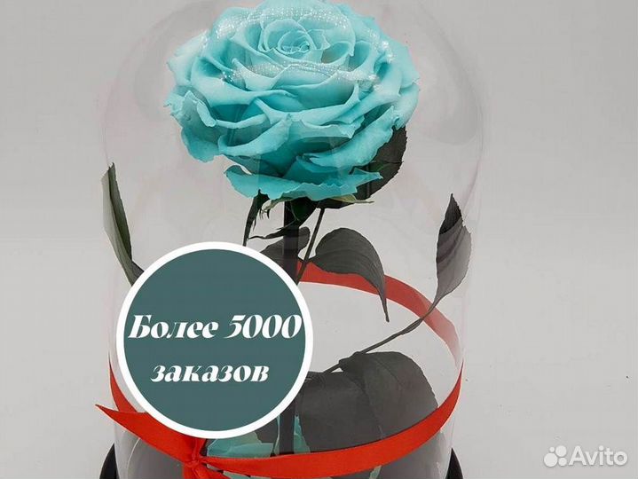 Роза в колбе. Любые размеры