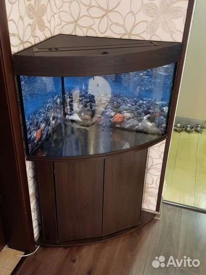 Угловые аквариумы любых размеров