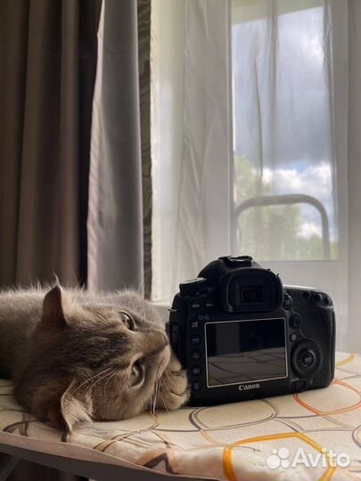 Canon 5d mark iii