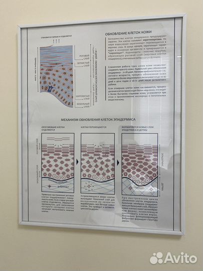 Рамки для фото