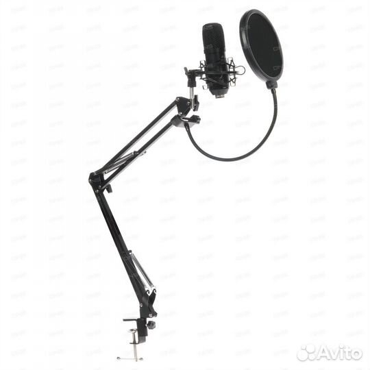 Студийный микрофон Ritmix RDM-169