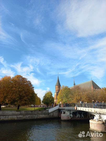 Обзорная экскурсия по Калининграду