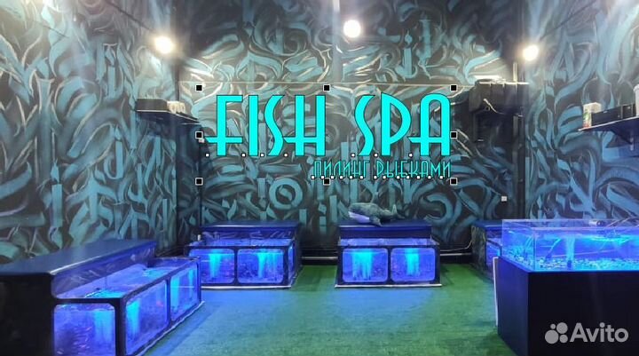 Гарра-руфа размером 5 см