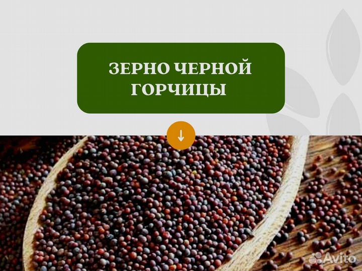 Чёрная горчица (кг)