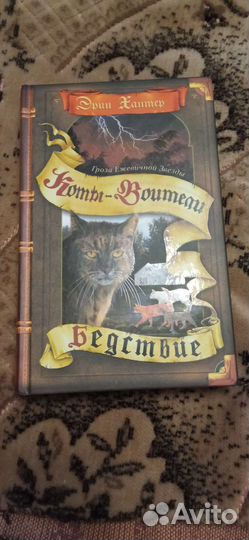 Коты воители