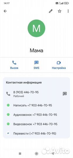 Коровы дойные