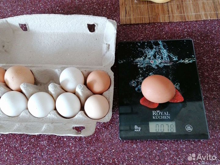 Домашние куриные яйца