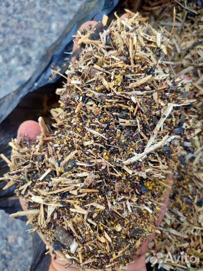 Продам зерновые отходы