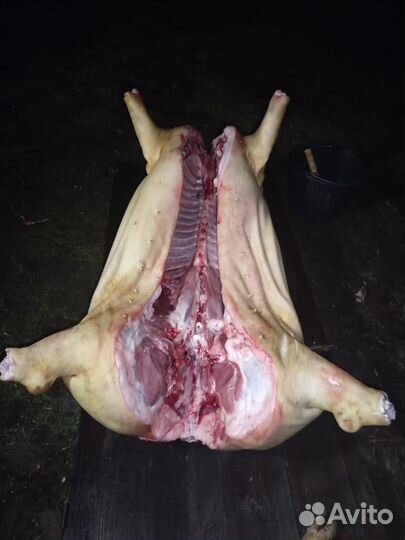 Мясо свинина домашняя