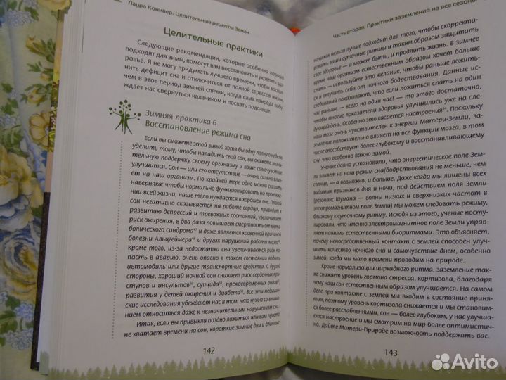 Целительные рецепты Земли. Конивер Лаура