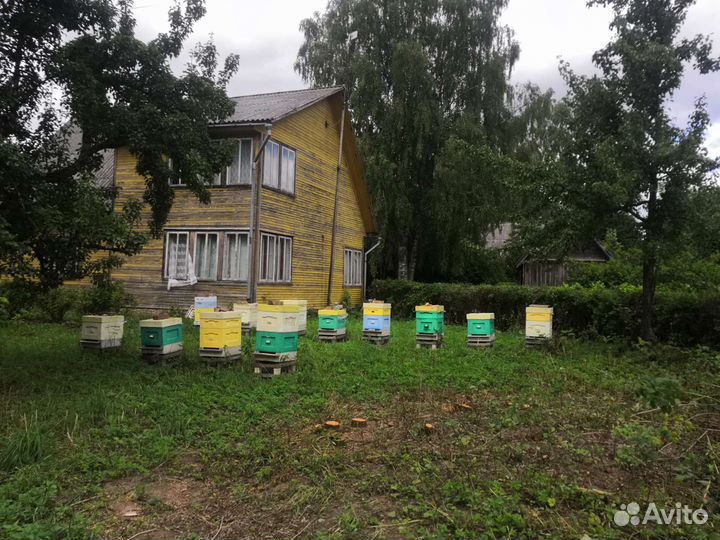 Ульи для пчел бу