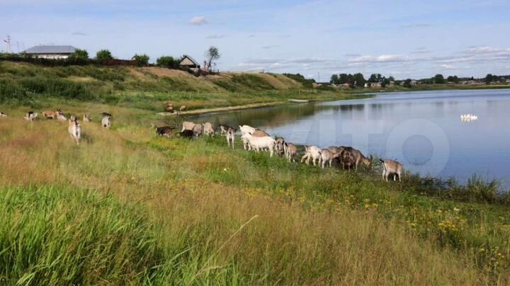 Дом 33,6 м² на участке 30 сот.