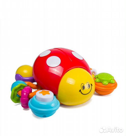 Божья коровка