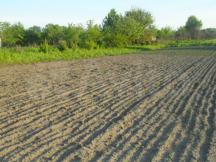 Участок 15 сот. (ИЖС)