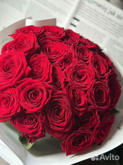 Розы красные эквадор