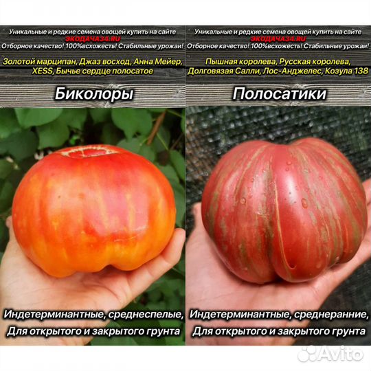 Помидоры и перцы семена