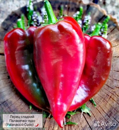 Комплект семян овощей (40 позиций)