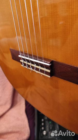 Yamaha CG142S (Ель) Классическая гитара / классика