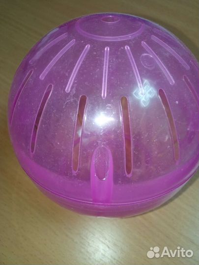 Прогулочный шар для грызунов