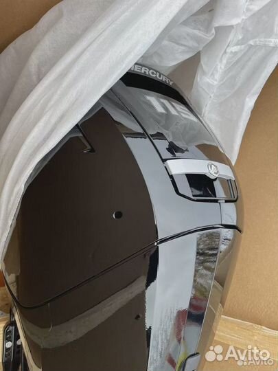 Лодочный мотор Mercury (Меркури) ME F 115 ecxlpt E