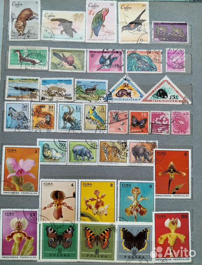 Марки Флора и фауна