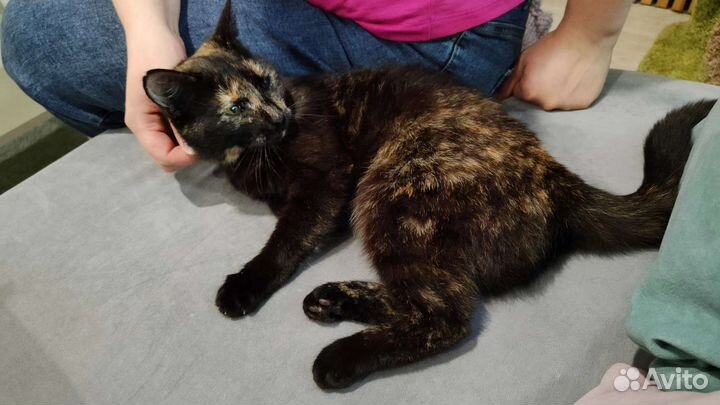 Хлопушка в добрые ручки