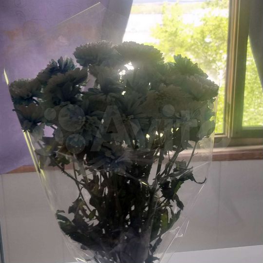 2-к. квартира, 57 м², 5/5 эт.