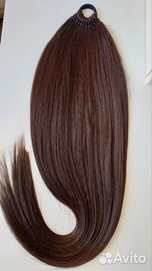 Афрохвост новый