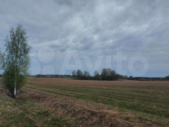 Участок 46 сот. (СНТ, ДНП)