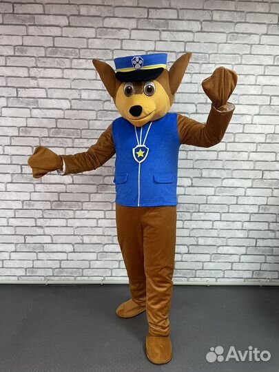 Поздравление от Чебурашки и других ростовых кукол