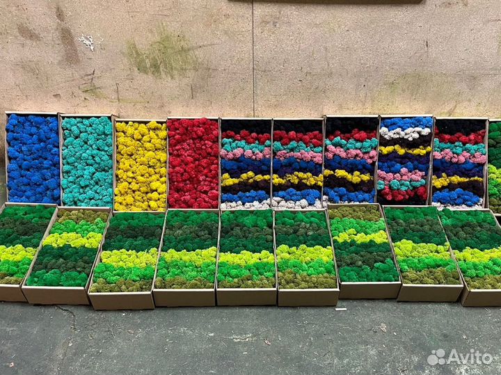 Стабилизированный мох, ягель, кочка, пласт, панно