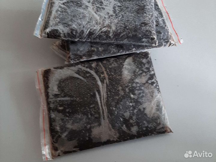 Мотыль замороженный