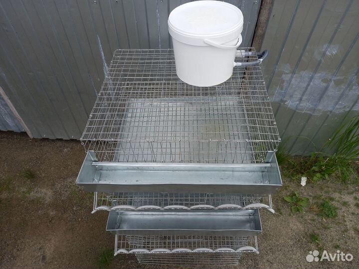 Клетки для перепелов