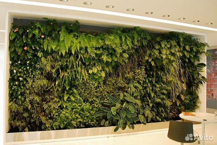 Фитостены из иск. растений Вертикальное озеленение