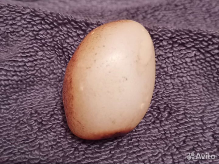 Нефрит из Бирмы