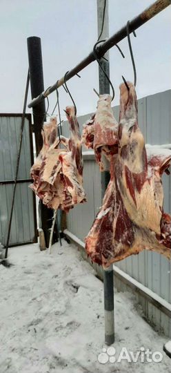 Мясо говядины деревенское(Телятина) и Баранина