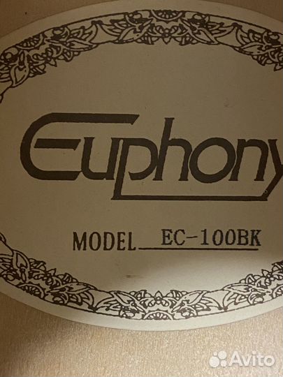 Черная классическая гитара Euphony EC 100BK