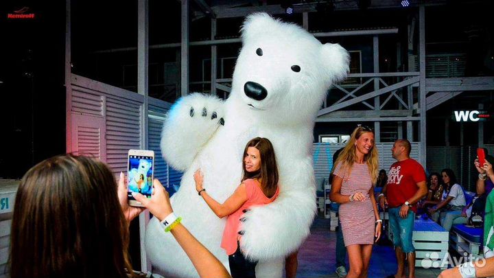 Белый мишка поздравление