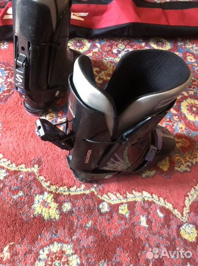 Горные лыжи