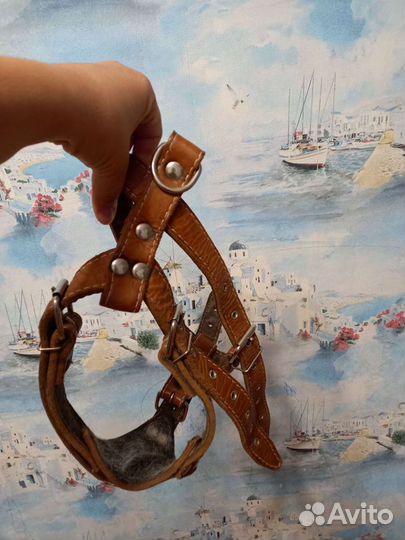 Кожанная шлейка для крупной собаки