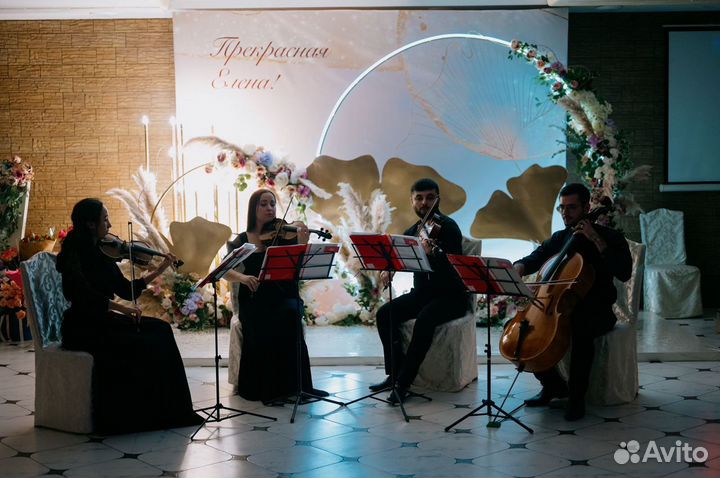 Музыканты,Струнный квартет,Скрипач,Скрипачка,уроки