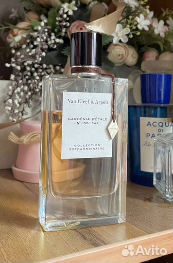 Духи женские. Оригинал. D&G, Armani, Van Cleef