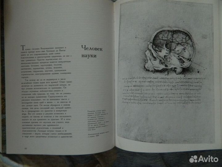 Леонардо да Винчи 